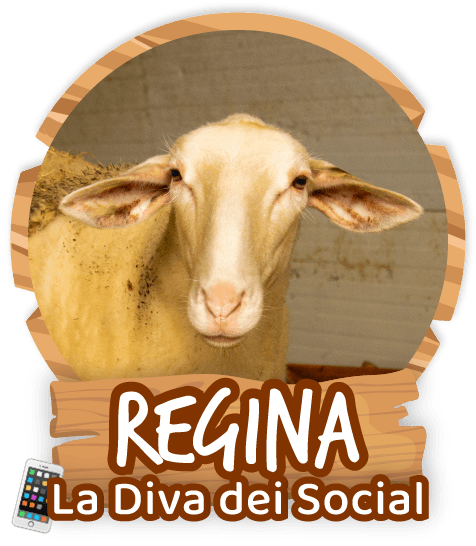 Regina La Diva dei Social