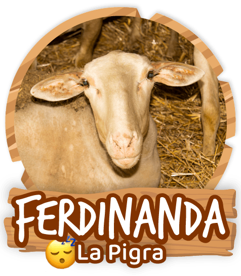 Ferdinanda La Pigra