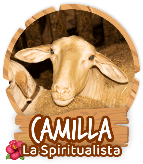 Camilla La spiritualista